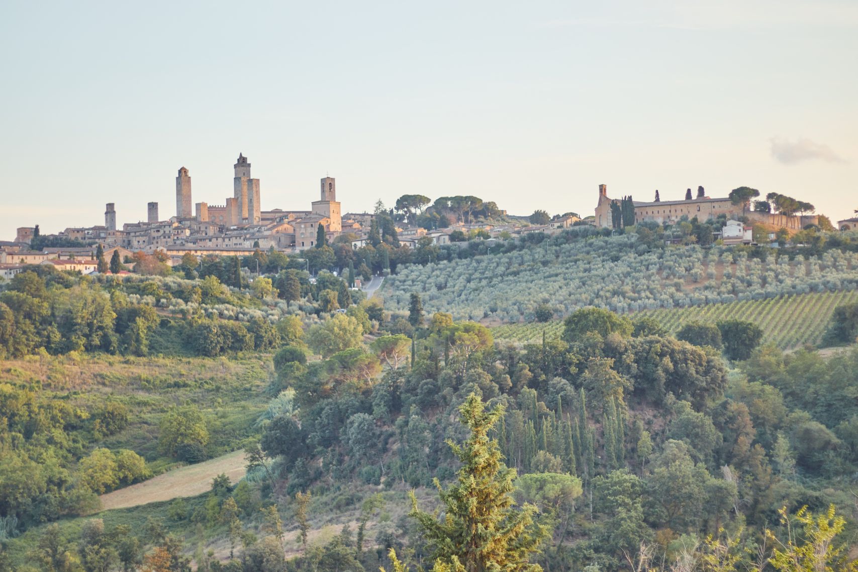 Blick auf die Geschlechtertürme von San Gimignano beim Toskana Roadtrip